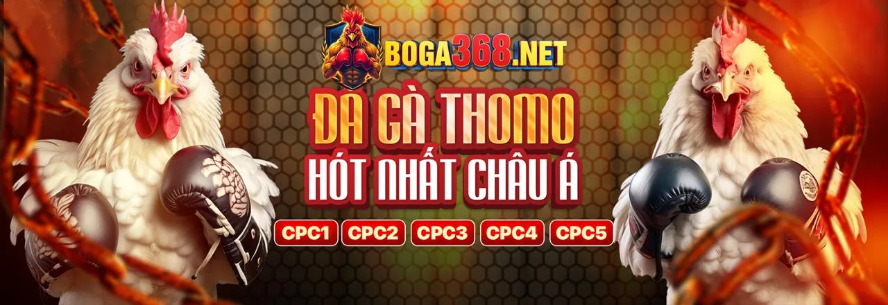 Các loại ưu đãi tân thủ Hbet hấp dẫn