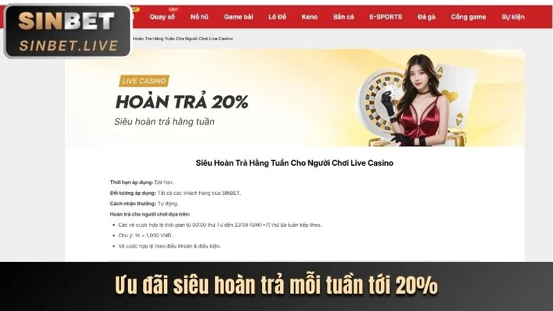 Chương trình hoàn trả hàng ngày Hbet
